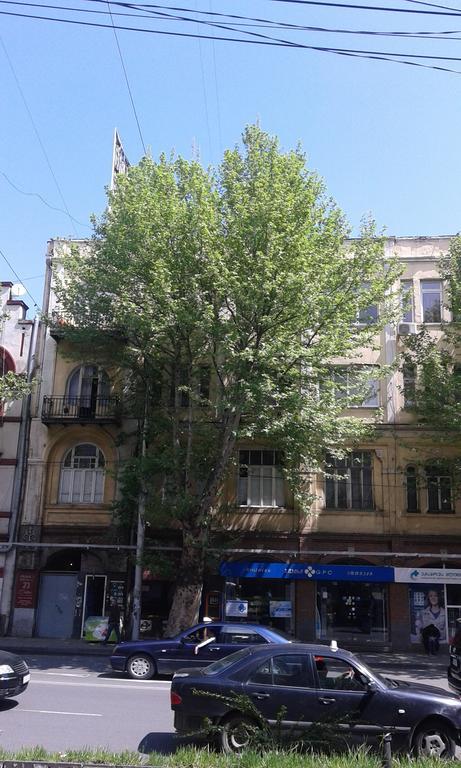Vera Garden Apartment Tbilisi Bagian luar foto